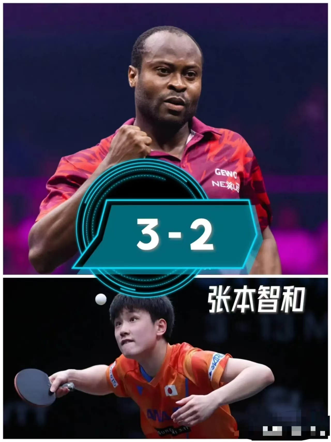 法国队横扫奥地利队,张本智和刷新纪录 法国队横扫奥地利队,张本智和刷新纪录