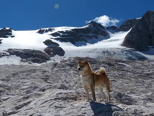 当斗牛士心脏注入太极虎—佩德里如何以一场比赛改写韩式足球基因