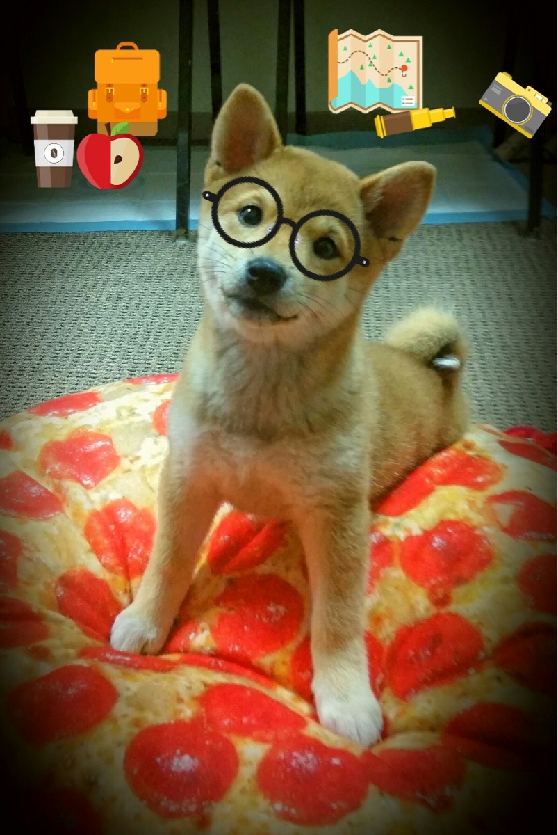 绿茵暗涌,当波斯铁骑遭遇沙漠风暴,谁在终章挥就决胜一笔?弗拉霍维奇式关键先生的跨时空启示