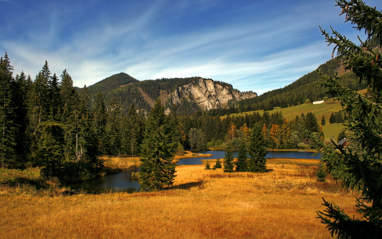 非洲雄狮的咆哮，当喀麦隆的集体铁壁，让北欧海盗的利刃黯然失色