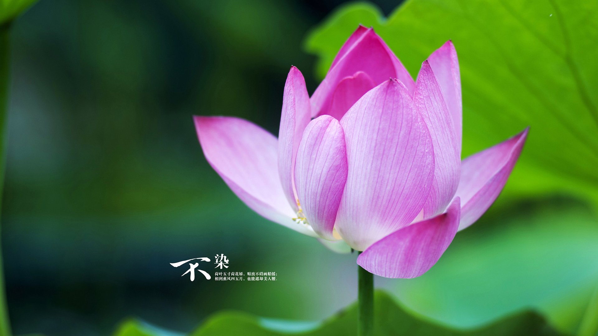 篮网雷霆之战,隐藏着浓眉东决封神的密码?