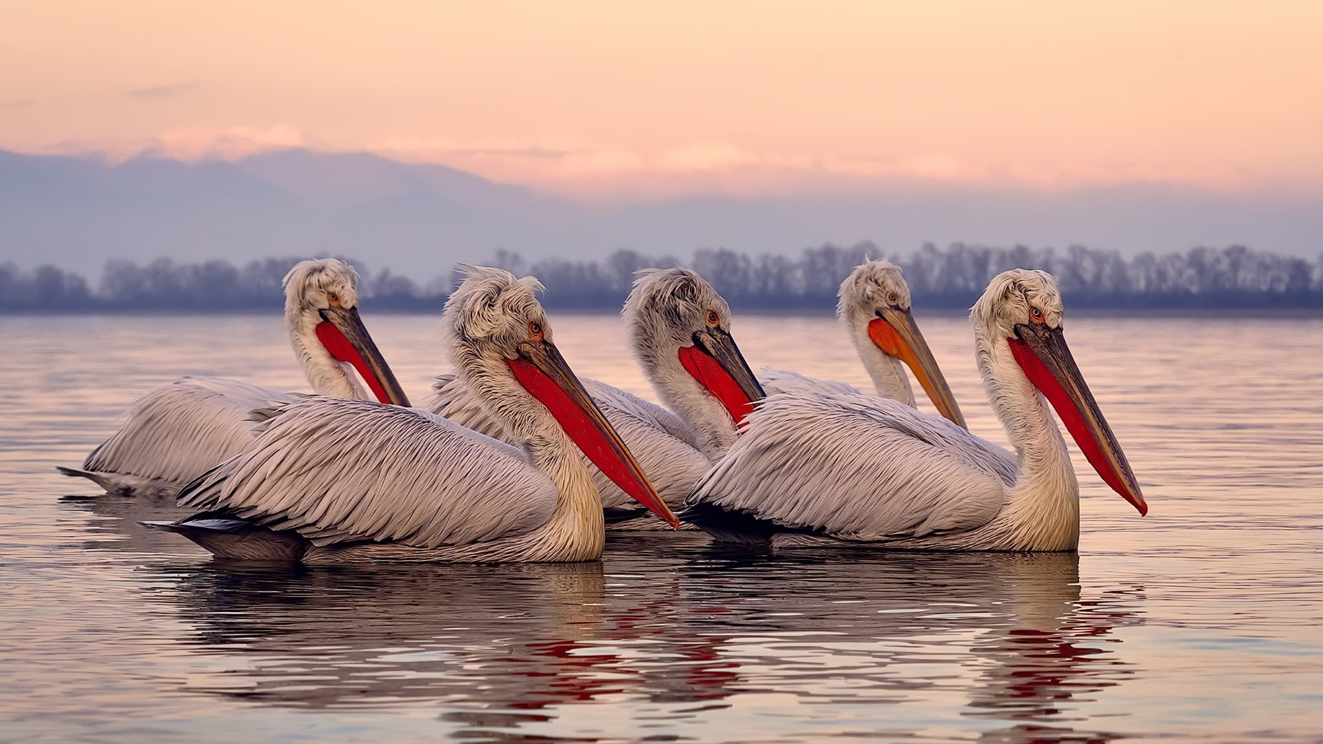 唯一性的绝杀传奇，拉齐奥对阵乌拉圭，恩佐化身关键先生
