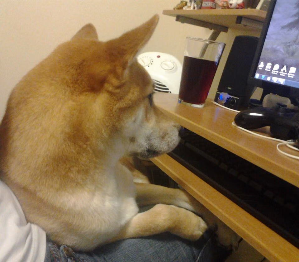 疯狂库里与冷静森林狼，两种胜利，一种声音