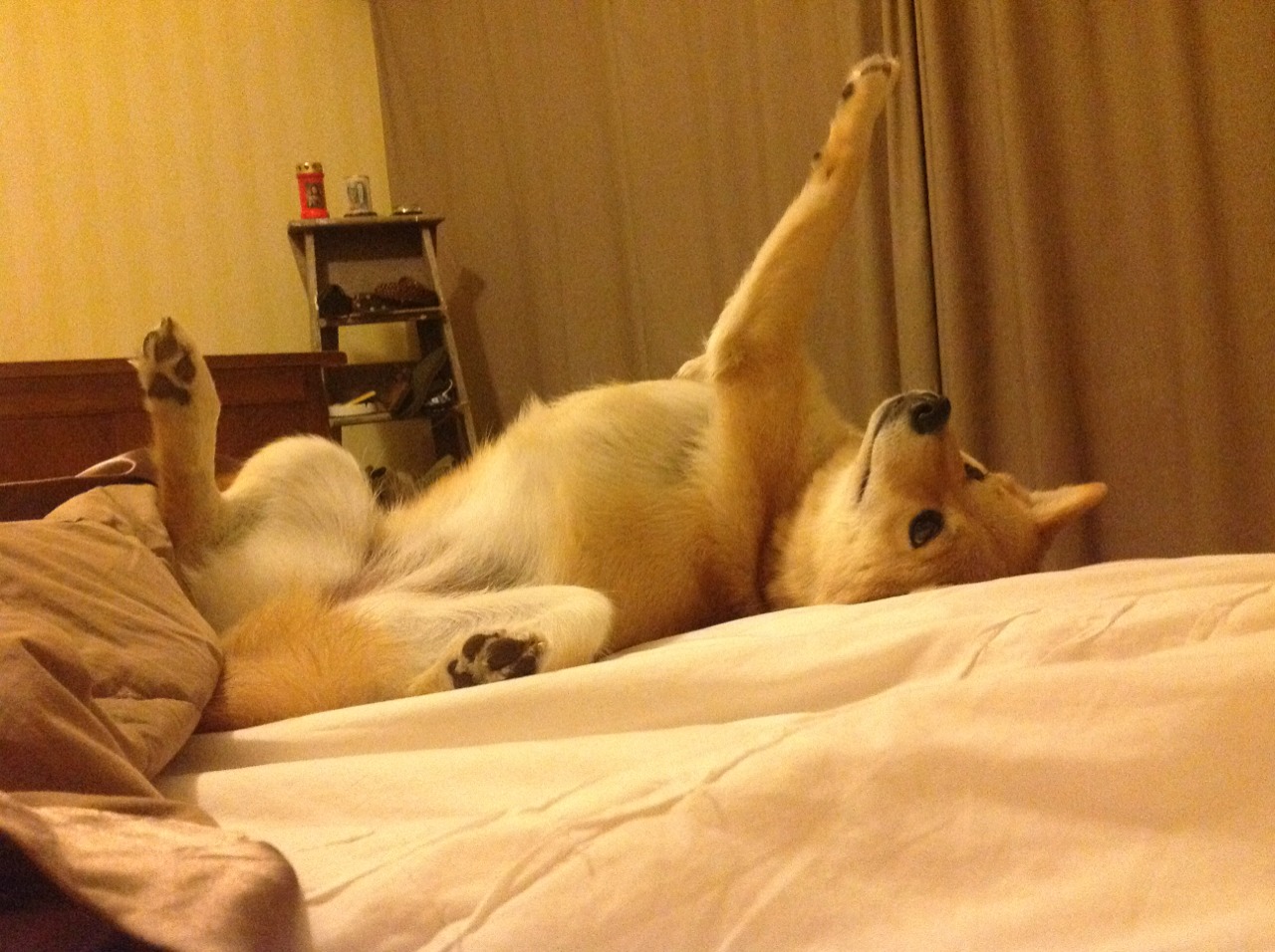 金童耀世与绝地曙光，足球的两极之光