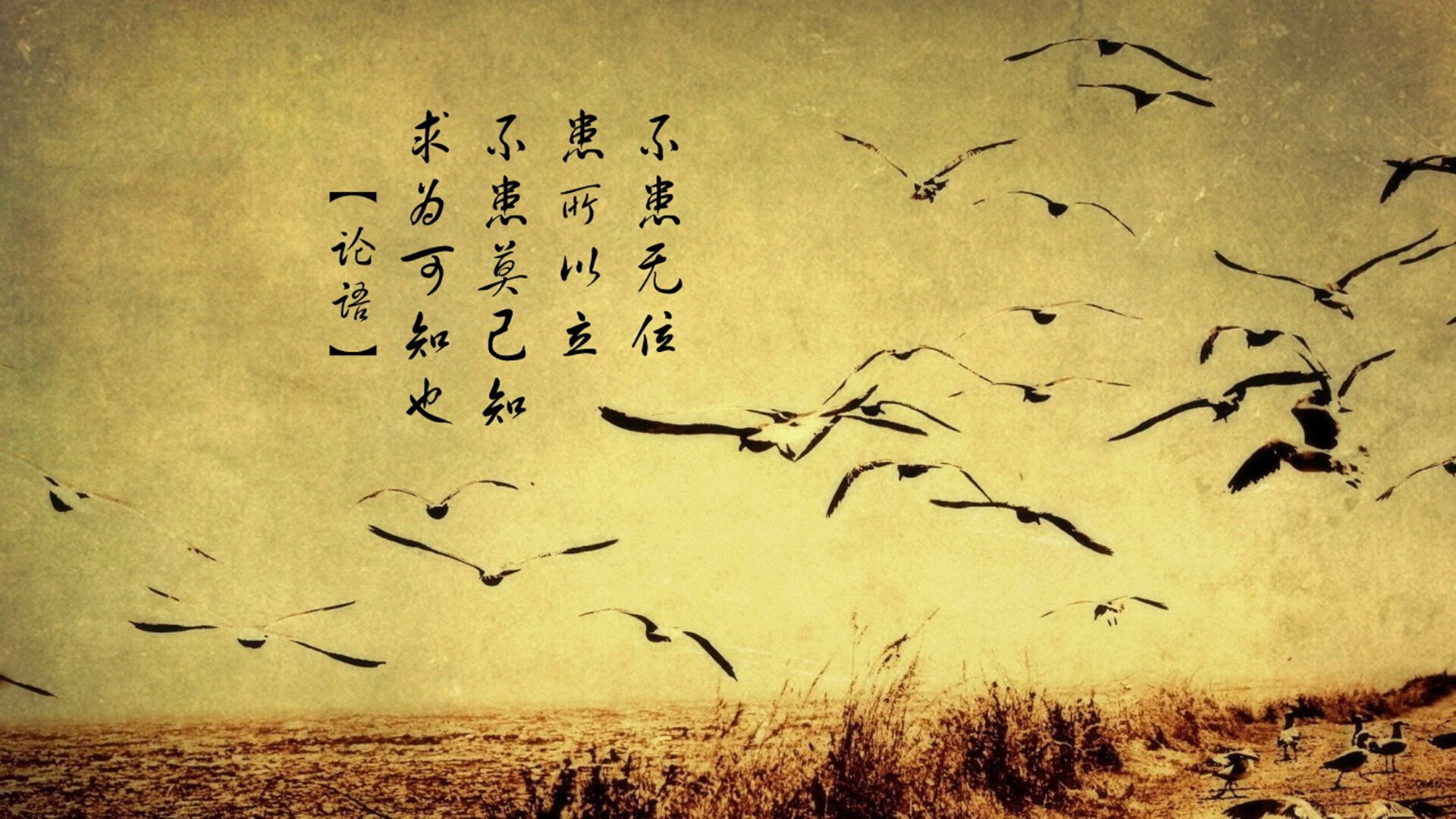 东方隐退西方闪耀，当评分拉满的哈登，遇见淘汰的骑士与山西