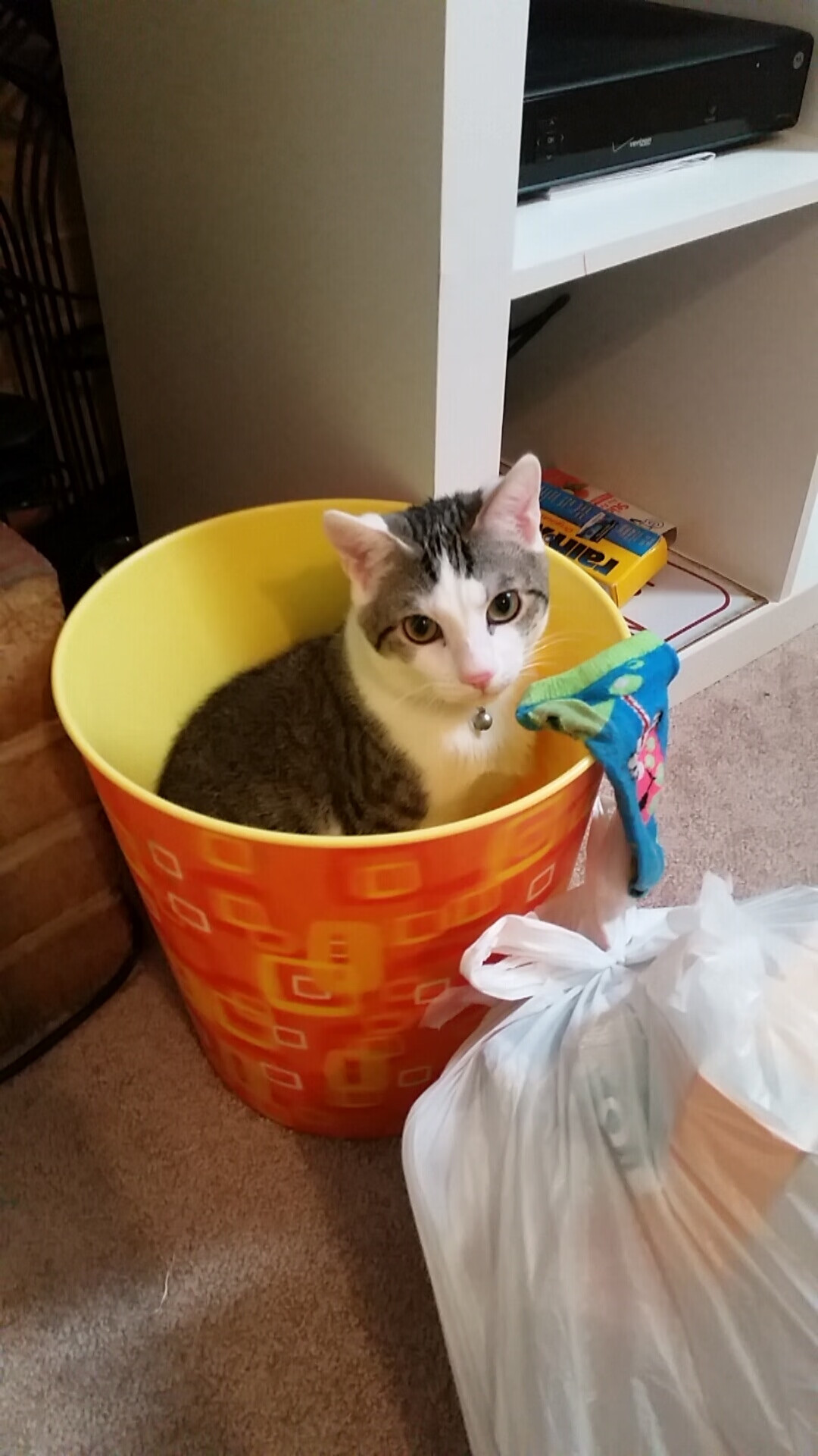 封神之战！哈利伯顿在勇士vs快船年度焦点对决中接管比赛