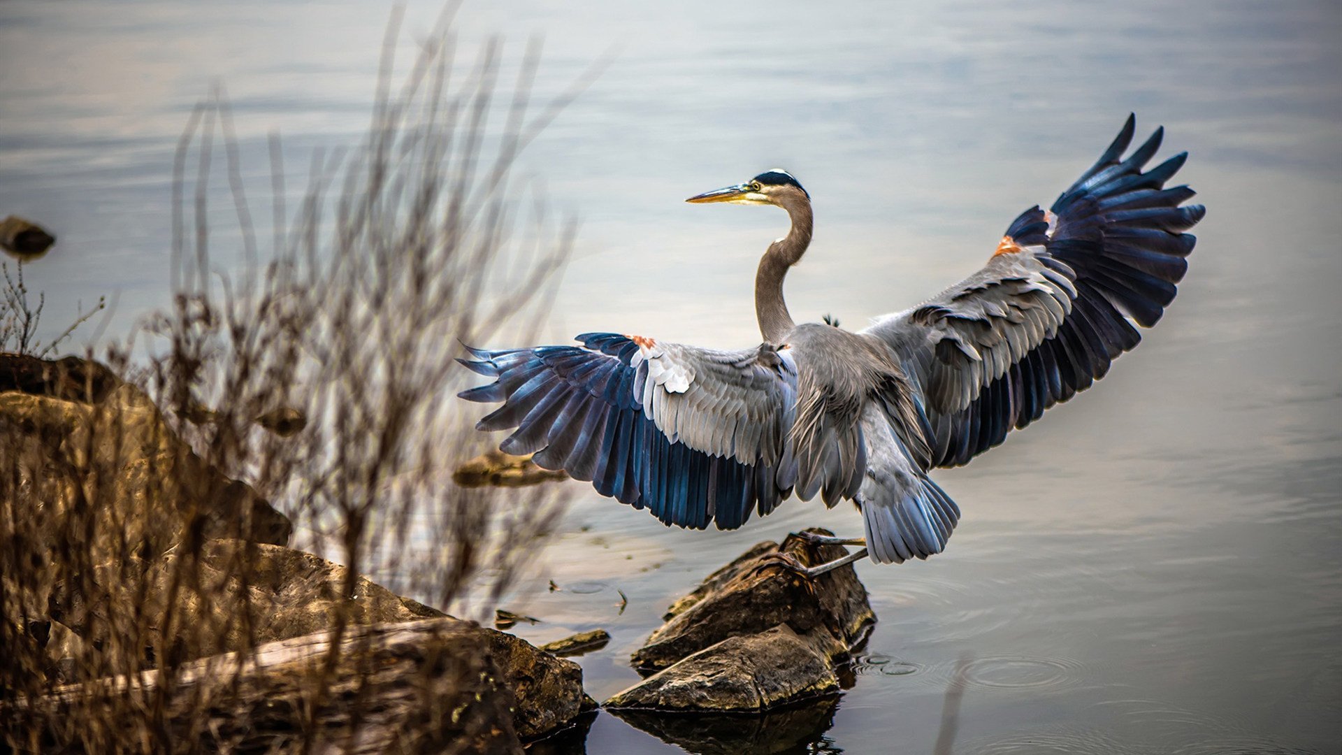 时间的暴政，当最后时刻成为唯一的神与唯一的战场