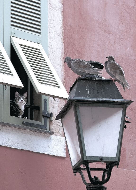 独家解密，欧冠半决赛之夜，三笘薰的超频时刻如何撕裂防线